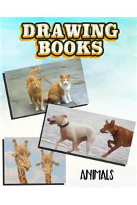 Drawing Books Animals