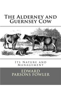 Alderney and Guernsey Cow