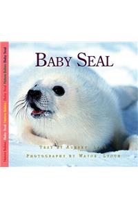 Baby Seal