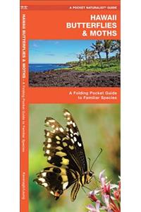 Hawaii Butterflies & Moths