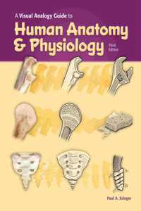 Visual Analogy Guide to Human Anatomy & Physiology