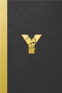 Y