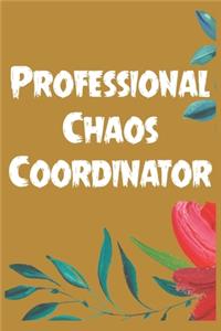 Professional Chaos Coordinator
