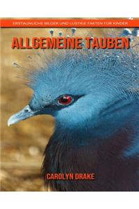 Allgemeine Tauben