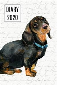 2020 Daily Diary Planner, Watercolor Dachshund