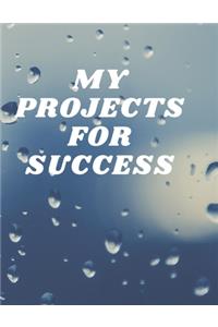 My Projects for Success