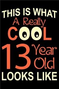 A Really Cool 13 Year Old