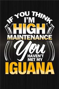 If You Think I'm High Maintenance You Haven't Met My Iguana