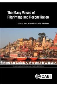 Many Voices of Pilgrimage and Reconciliation