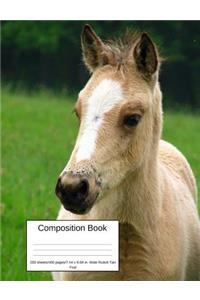 Composition Book 200 Sheets/400 Pages/7.44 X 9.69 In. Wide Ruled/ Tan Foal