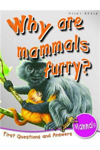 1st Questions and Answers Mammals