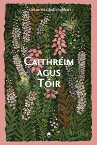 Caithreim Agus Toir