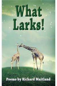 What Larks