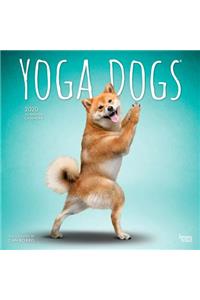 Yoga Dogs 2020 Square Wall Calendar