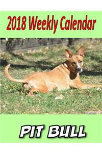 2018 Weekly Calendar Pit Bull