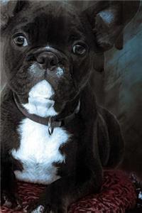 Bulldog Notebook