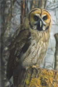 Owl In The Wood - Lined Notebook with Margins