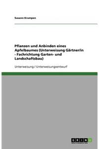 Pflanzen und Anbinden eines Apfelbaumes (Unterweisung Gärtner/in - Fachrichtung Garten- und Landschaftsbau)