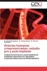 Arterias humanas criopreservadas