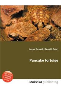 Pancake Tortoise