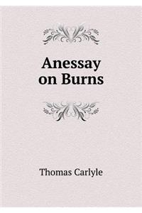 Anessay on Burns
