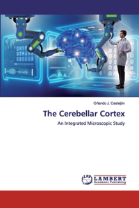 Cerebellar Cortex