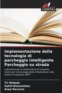 Implementazione della tecnologia di parcheggio intelligente Parcheggio su strada