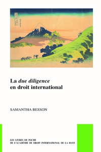 Due Diligence En Droit International