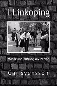 I Linkoping: Manniskor, miljoer, mysterier