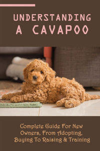 Understanding A Cavapoo
