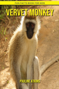 Vervet Monkey