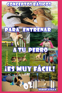 Conceptos Básicos Para Entrenar a Tu Perro ¡es Muy Fácil!