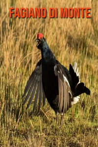 Fagiano di monte