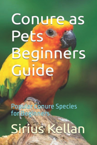 Conure as Pets Beginners Guide