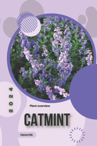 Catmint: Simply beginners guide