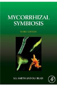 Mycorrhizal Symbiosis