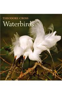 Waterbirds