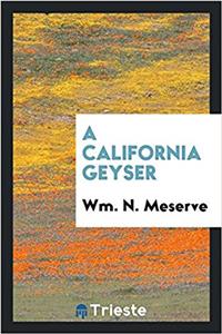 California Geyser