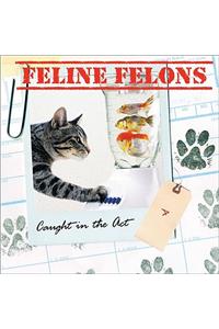 Feline Felons