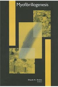 Myofibrillogenesis
