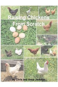 Raising Chickens from Scratch