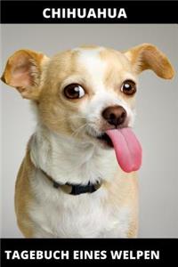 Chihuahua Tagebuch eines Welpen