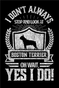 I Don't Always Stop and Look At Boston Terrier OH Wait, Yes I Do!