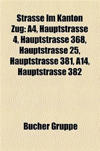 Strasse Im Kanton Zug