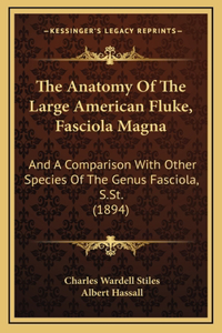 The Anatomy Of The Large American Fluke, Fasciola Magna
