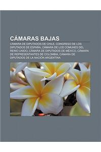 Camaras Bajas
