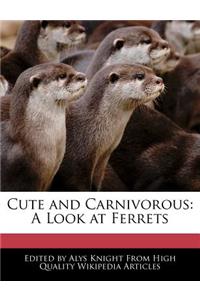 Cute and Carnivorous