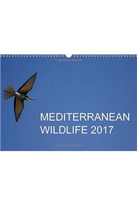 Mediterranean Wildlife 2017 2017: Wildlife Photos Taken in the Mediterranean Region (Calvendo Animals)