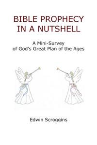 Bible Prophecy in a Nutshell