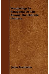 Wanderings In Patagonia Or Life Among The Ostrich-Hunters